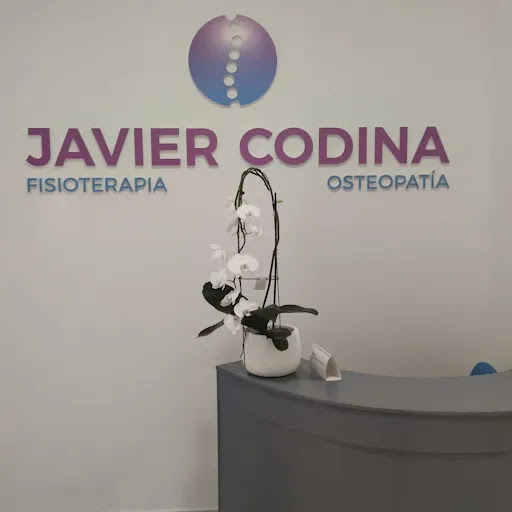 Fisioterapia y Osteopatia Javier Codina