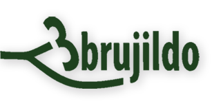 Logo de Brujildo