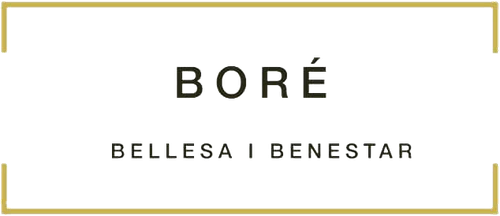 Logo de Centre Boré