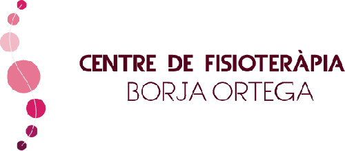 Logo de Centre de Fisioteràpia Borja Ortega.