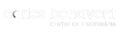 Logo de Centre de Fisioteràpia del Mèlich Sportsclub - Carles Benavent