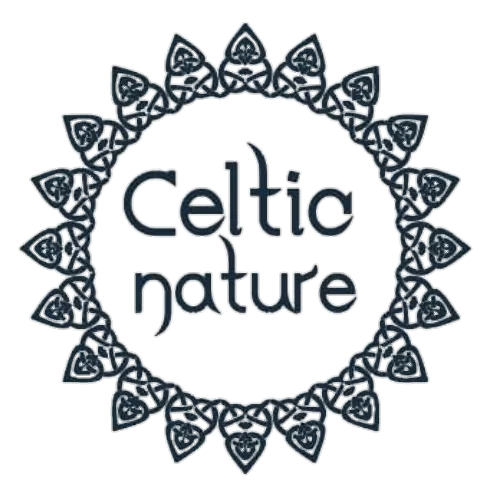 Logo de Centro Celtic Nature