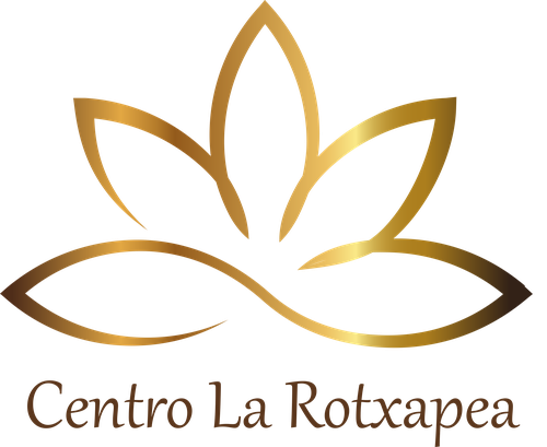 Logo de Centro La Rochapea