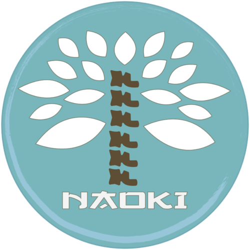 Logo de CENTRO NAOKI.