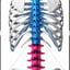 Logo de CM Osteopatic