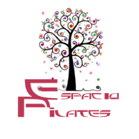 Logo de EPI Espacio Pilates Valladolid