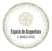 Logo de Espacio de Acupuntura - Raquel Morales