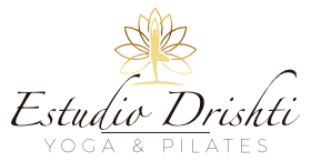 Logo de Estudio Drishti