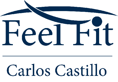 Logo de Feel Fit Madrid