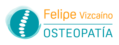 Logo de Felipe Vizcaino