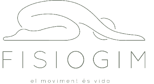 Logo de Fisiogim