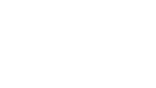 Logo de FisioSomatic