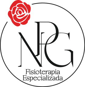 Logo de Fisioterapia Especializada Noa Pérez Gil