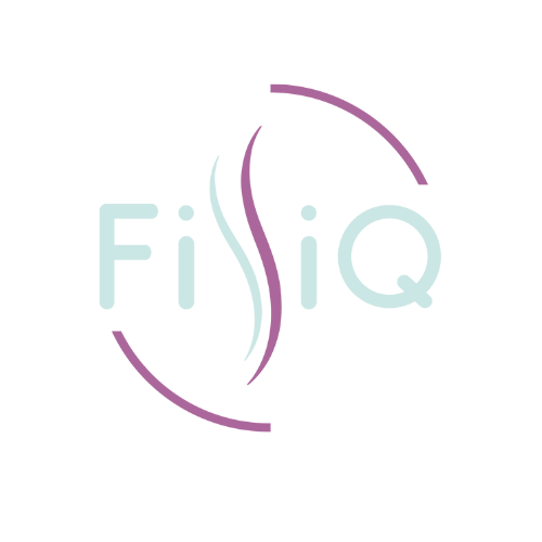 Logo de FisiQ - Centre de Fisioteràpia i Salut.