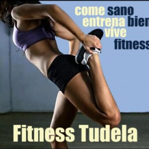 Logo de Fitness Tudela.