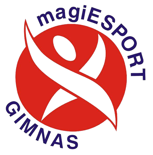 Logo de Gimnàs i Centre de Fisioteràpia Magiesport