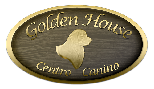 Logo de Golden House