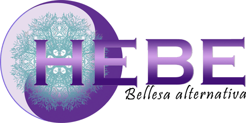 Logo de Hebe 2000