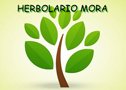 Logo de HERBOLARIO MORA