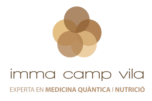 Logo de IMMA CAMP VILA