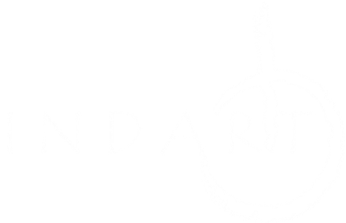 Logo de INDART