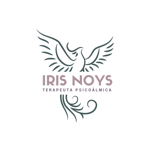 Logo de Iris Noys