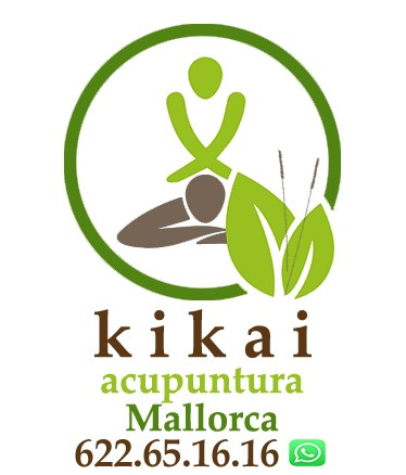 Logo de Kikai.es