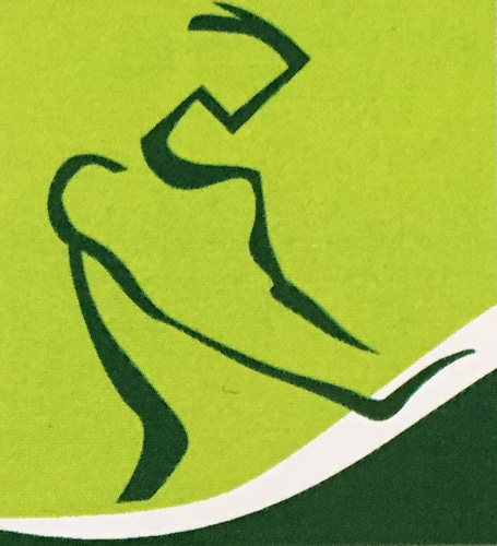 Logo de Monfisio