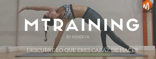 Logo de mTraining Minerva