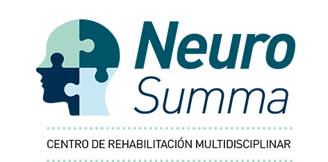 Logo de NeuroSumma