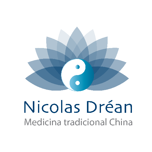 Logo de Nicolas Dréan Acupuntura