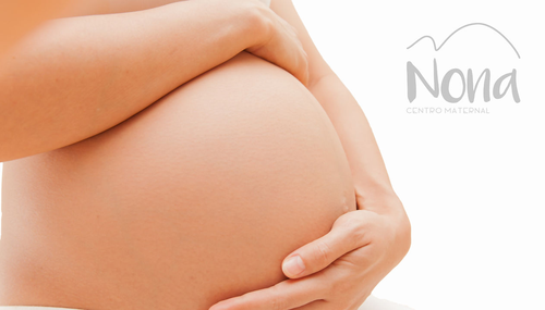 Logo de Nona Centro Maternal