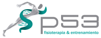 Logo de p53 fisioterapia&entrenamiento