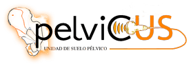 Logo de Pelvicus Fisioterapia