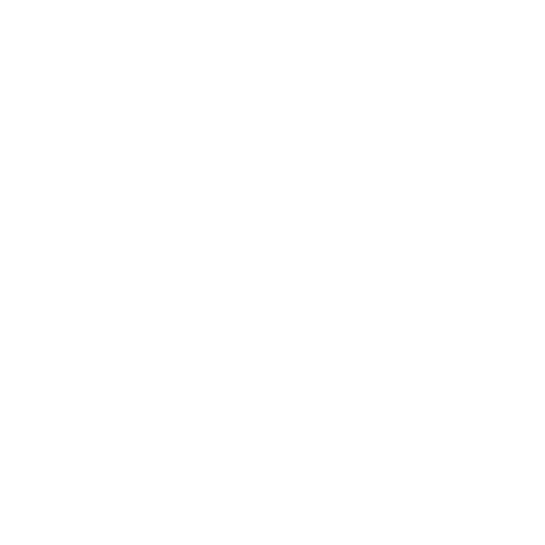 Logo de ROOTS Benicàssim