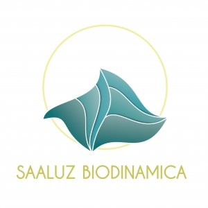 Logo de Saaluz Biodinámica