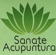 Logo de Sanate Acupuntura