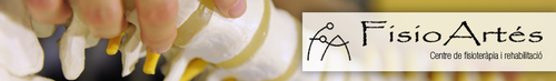 Logo de Sara Esteve Fisioteràpia personalitzada.