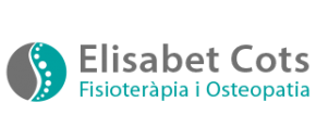 Logo de SEB. Centre d'Osteopatia Poyet i Fisioteràpia.