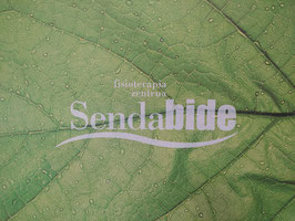 Logo de Sendabide