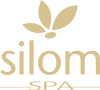 Logo de SILOM SPA