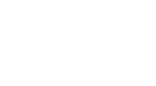 Logo de Spirit Flow Barcelona