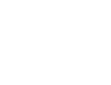 Logo de Viento Sur - Maestra Reiki